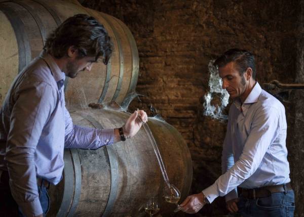 Tariquet Armin et Rémy armagnac BD (1)